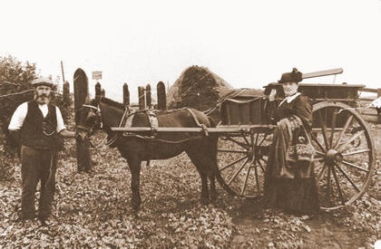 James and Sarah Elizabeth Martin